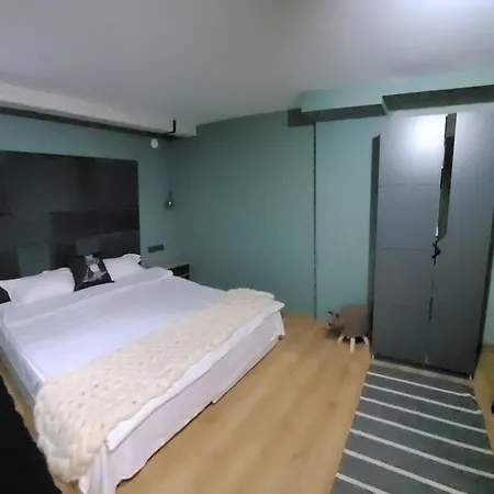 Bh And Semiramida Boroveț