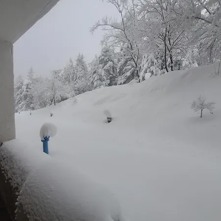 Apartment Bh And Semiramida *